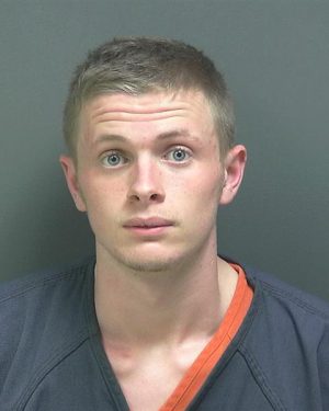 Individual Arrested in Connection With Multiple Thefts – Clinton County ...