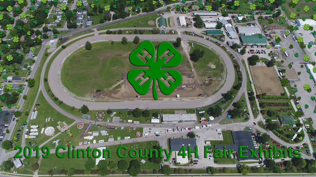 2019 Clinton County 4H Fair Exhibits Clinton County Daily News