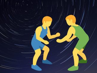 Men Wrestling Combat Fight  - Elf-Moondance / Pixabay