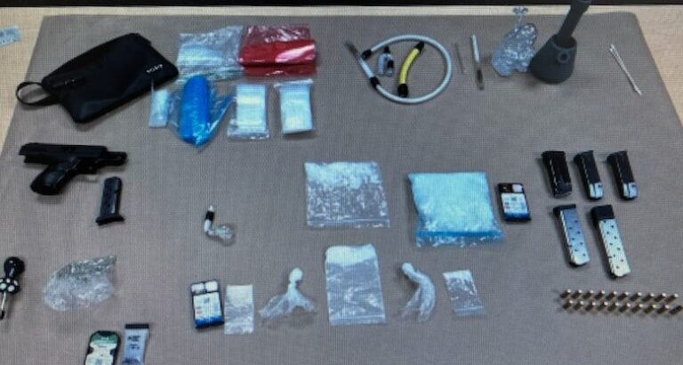 Traffic Stop Leads to Major Drug Seizure and Multiple Felony Arrests ...